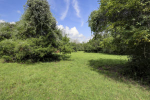 Round Top Real Estate Jaster Road offers privacy