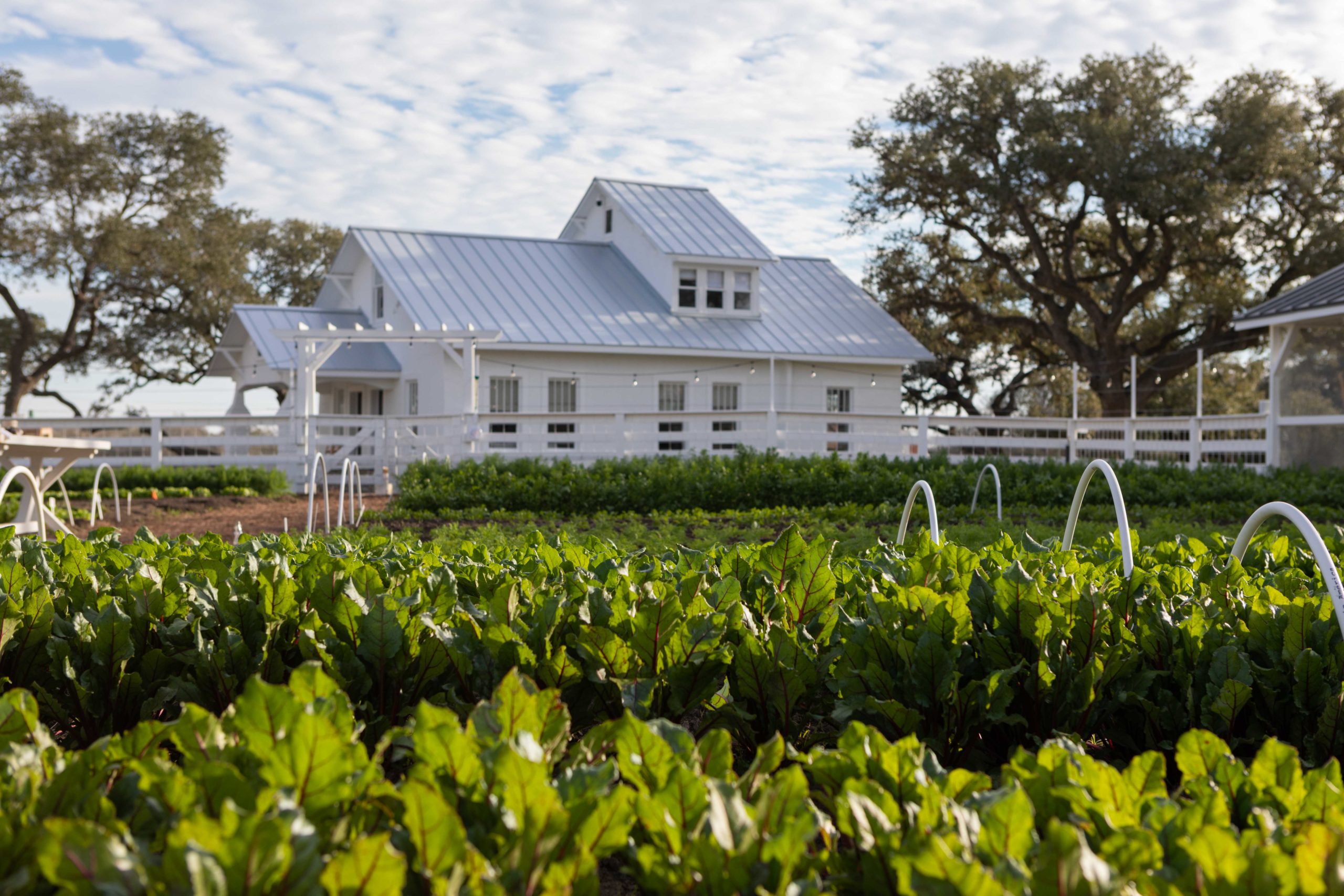 New La Grange Farm is Tiny Boxwoods Powered A Wonderland for Organic