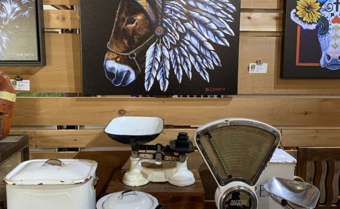 818FC88F 90B2 4BD3 90E8 9FCE22461AF3 1 105 c 672x414