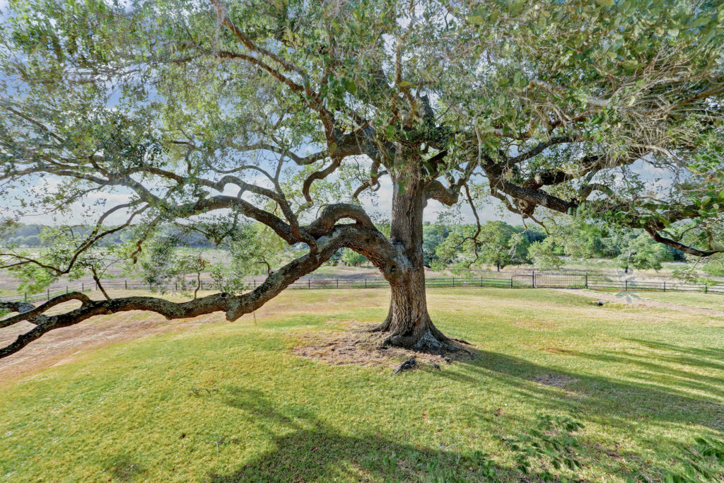 15517 FM 109 Brenham5