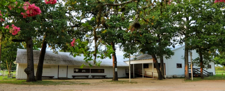 carmine dance hall 768x311