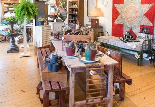 cotton seed trading 599x414