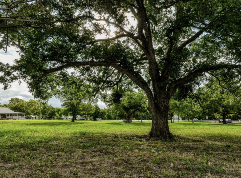 444 N Washington Street Round Top