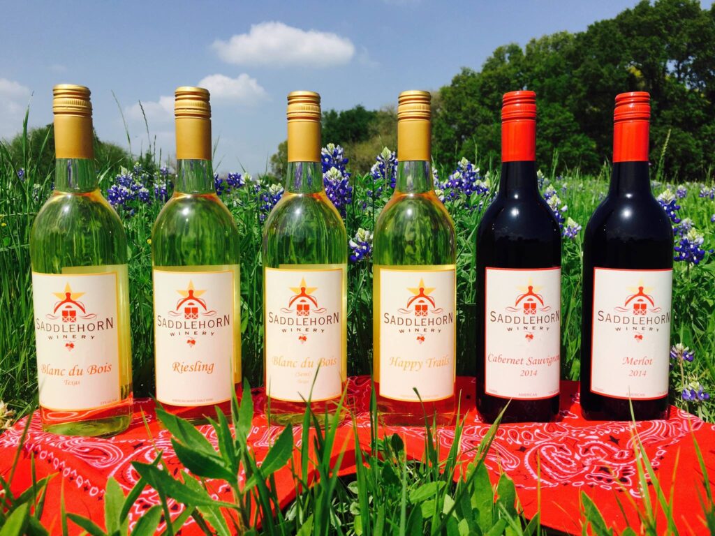 12957497_1116616841719485_7409569526438357981_o