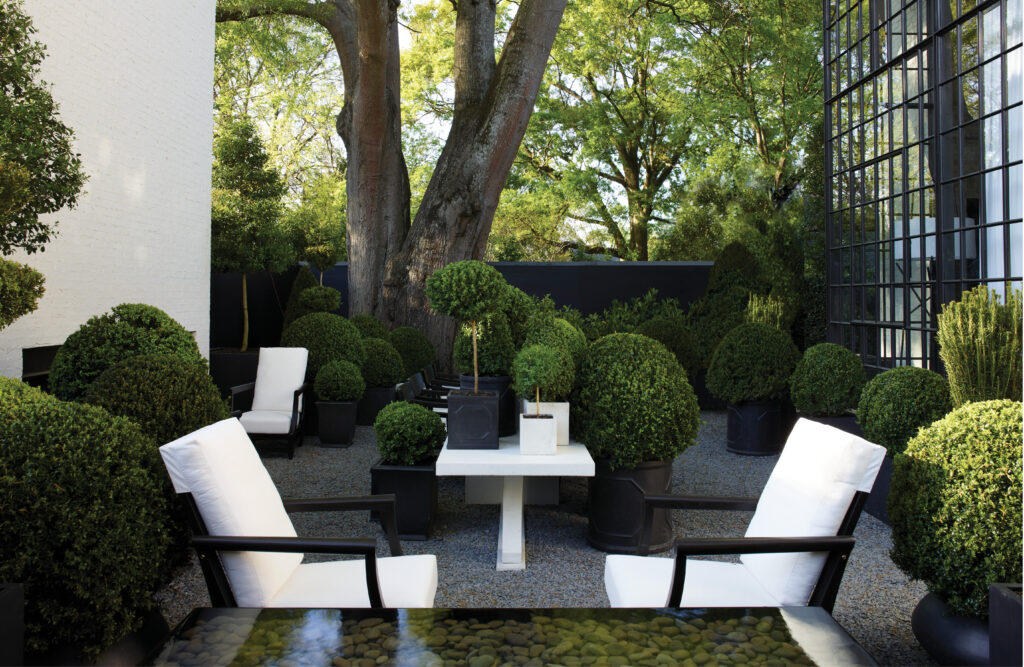 McAlpine_p014-15 (Photo by Simon Upton)