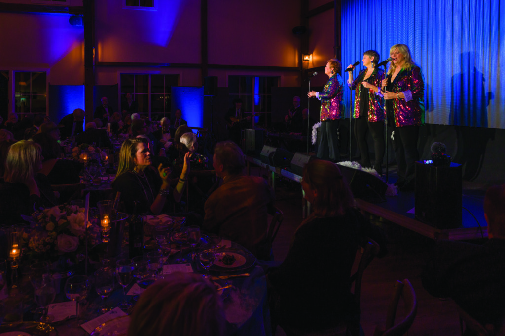 “Night AT The Theatre Gala”  benefiting the Fayetteville Community Center & Performance Theater