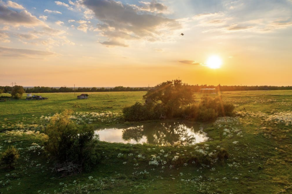 Screen Shot 2023-10-23 at 12.15.00 PM