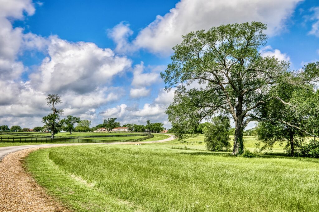 tonya_currie-the-inn_at_dos_brisas-chappell_hill-5d4_7817-1