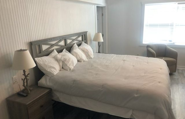 15 Snowdrops 1 copy 640x414