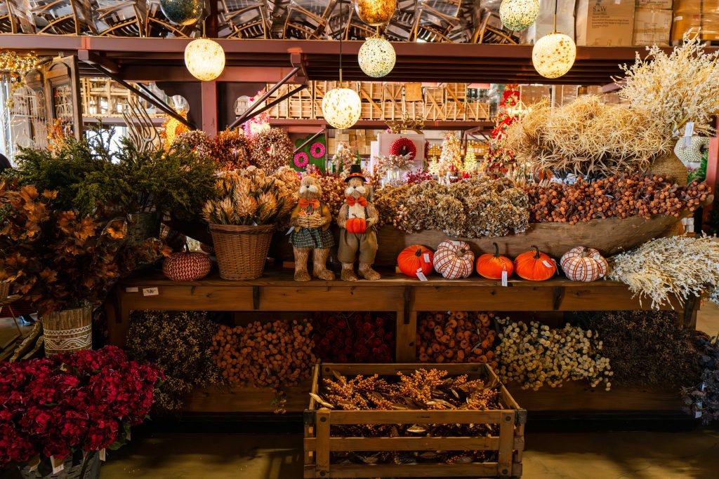 L1020493-Enhanced-NR