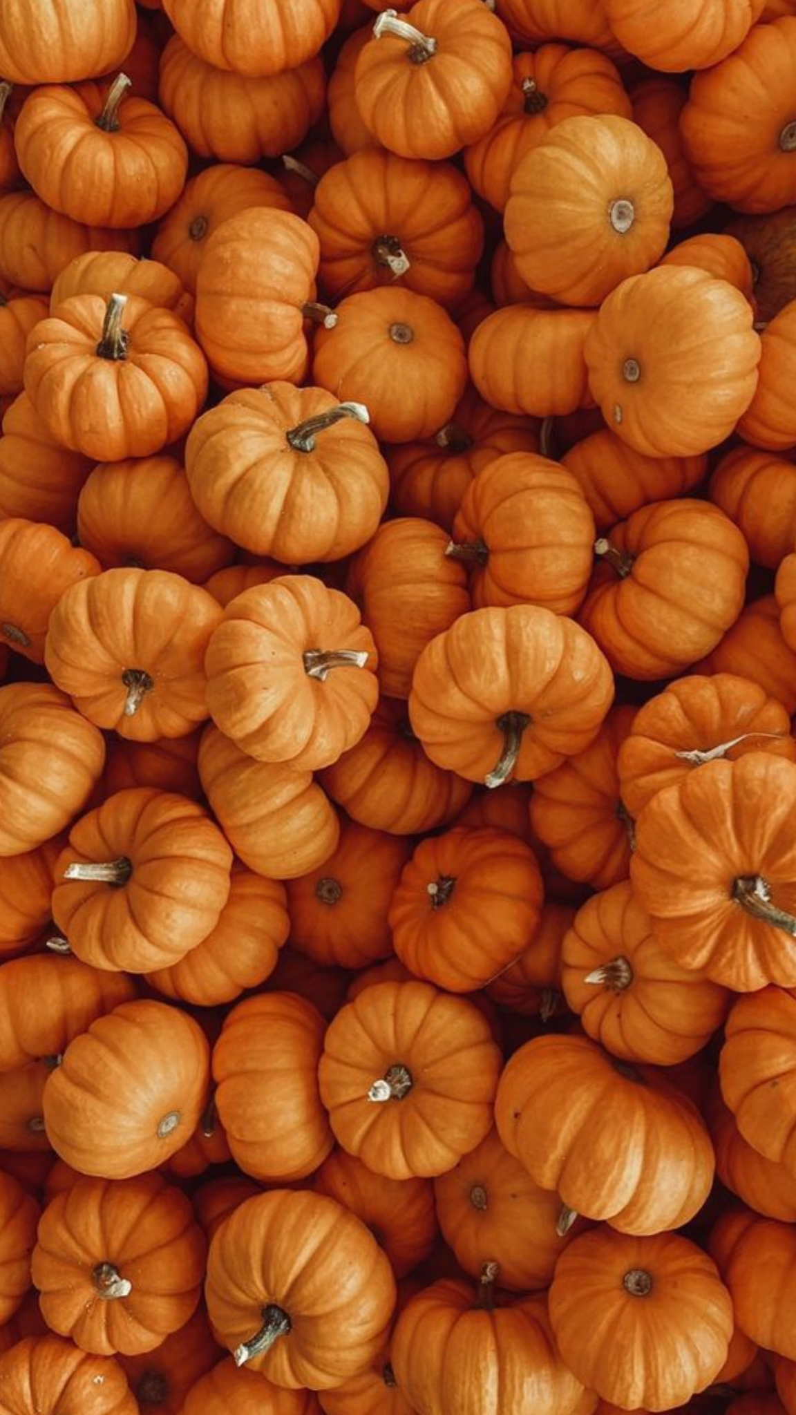 Pumpkins