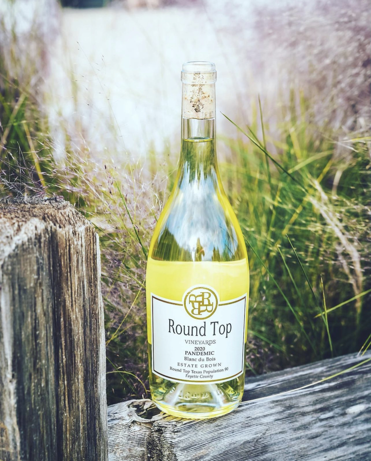 Round Top Vineyards